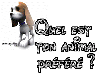 moi nn